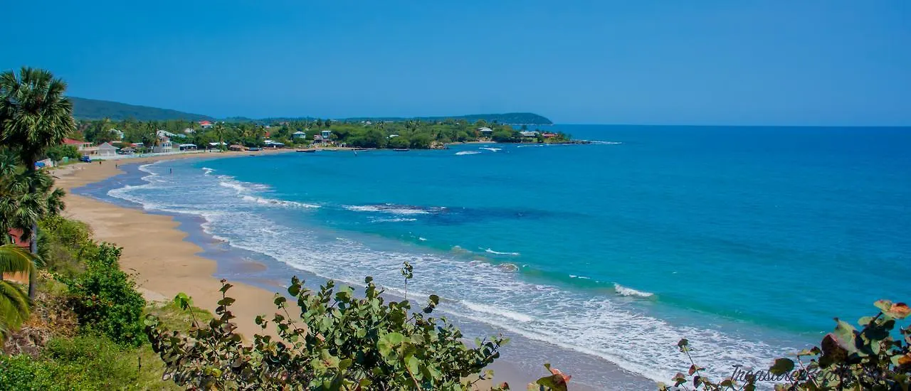 ***  Treasure Beach Hotel Jamaica
