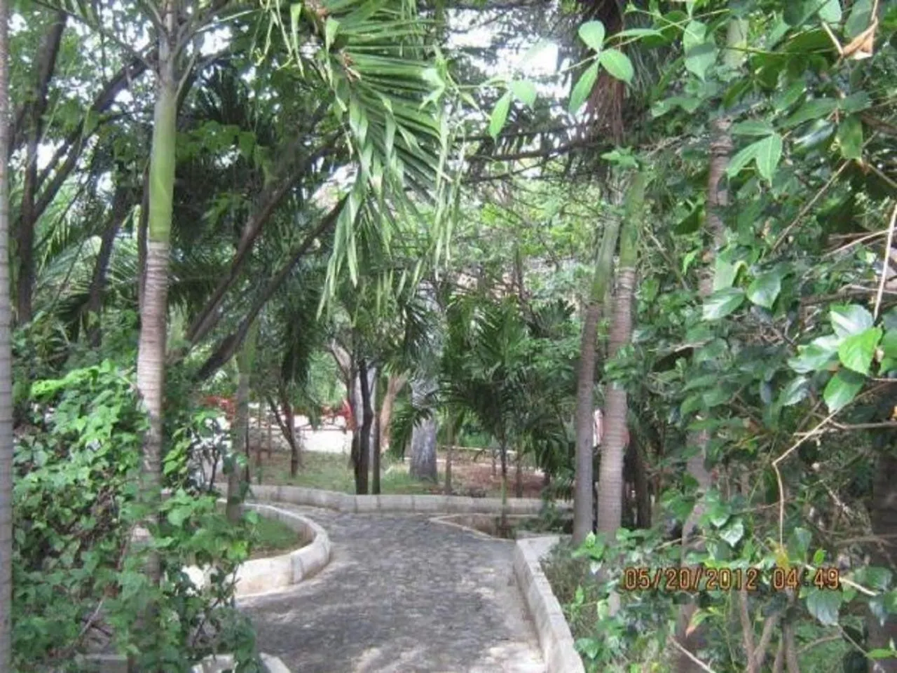 ***  Treasure Beach Hotel Jamaica