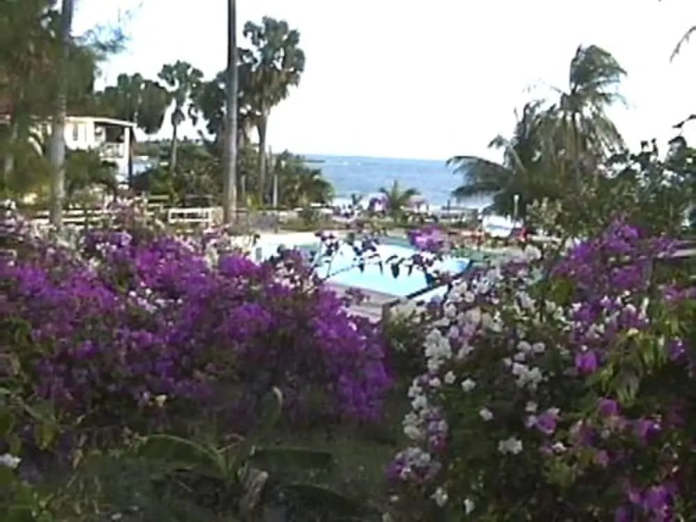 Treasure Beach Hotel