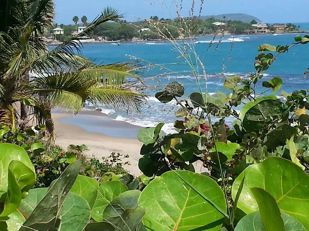 Treasure Beach Hotel Jamaica